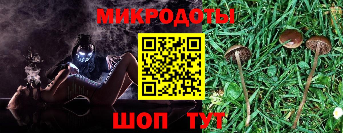 Галлюциногенные грибы Psilocybe  Вход с VPN  Галлюциногенные грибы GOLDEN TEACHER  Спасск-Дальний 